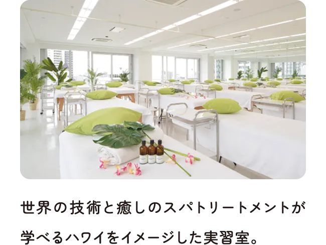 世界の技術と癒しのスパトリートメントが学べるハワイをイメージした実習室。